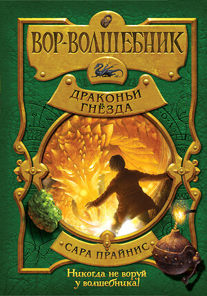 Эксмо Сара Прайнис "Вор-волшебник. Драконьи гнёзда (#3)" 342729 978-5-04-096597-7 