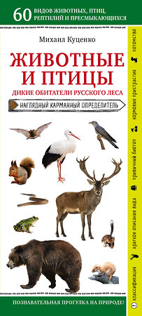 Эксмо Михаил Куценко "Животные и птицы. Дикие обитатели русского леса" 346377 978-5-04-111874-7 