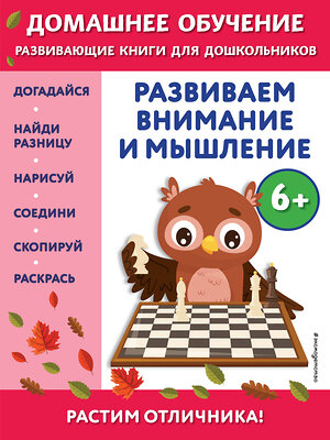 Эксмо Беркай Динч "Развиваем внимание и мышление: для детей от 6 лет" 355006 978-5-04-165905-9 