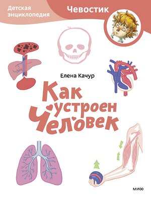 Эксмо Елена Качур "Как устроен человек. Детская энциклопедия (Чевостик) (Paperback)" 361446 978-5-00214-233-0 