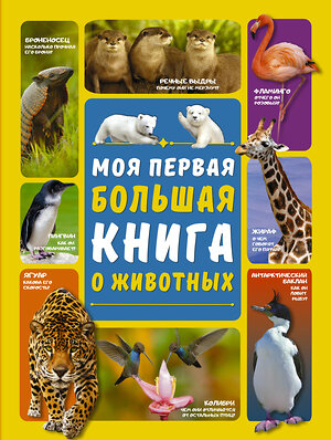 АСТ Л. Вайткене , Д. Ермакович "Моя первая большая книга о животных" 368539 978-5-17-114519-4 