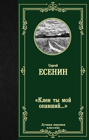 АСТ Сергей Есенин "Клен ты мой опавший..." 370096 978-5-17-119346-1 