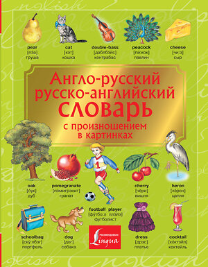 АСТ . "Англо-русский. Русско-английский словарь с произношением в картинках" 372334 978-5-17-133415-4 