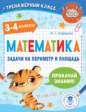 АСТ Нефедова М.Г. "Математика. Задачи на периметр и площадь. 3-4 классы" 377710 978-5-17-148475-0 