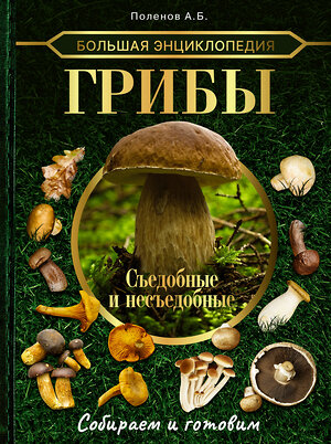 АСТ Поленов А.Б. "Большая энциклопедия. Грибы. Съедобные и несъедобные. Собираем и готовим." 378480 978-5-17-149560-2 