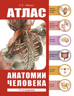 АСТ Лёвкин С.С. "Атлас анатомии человека" 378865 978-5-17-150140-2 