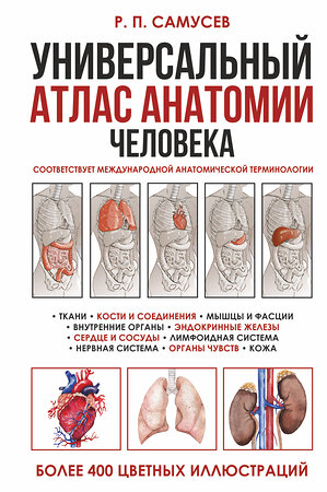 АСТ Самусев Р.П. "Универсальный атлас анатомии человека с цветными иллюстрациями" 384983 978-5-17-156813-9 