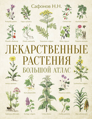 АСТ Сафонов Н.Н. "Лекарственные растения. Большой атлас" 385573 978-5-17-157884-8 