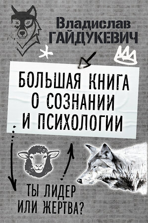 АСТ Гайдукевич В.А. "Большая книга о сознании и психологии: ты лидер или жертва?" 386420 978-5-17-159162-5 