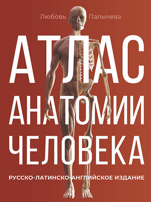 АСТ Палычева Любовь Николаевна "Атлас анатомии человека. Русско-латинско-английское издание" 401485 978-5-17-160033-4 