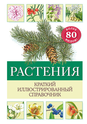 Эксмо Хольгер Хааг "Растения. Краткий иллюстрированный справочник" 411077 978-5-04-193144-5 