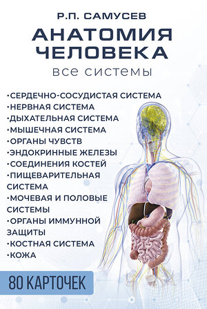 АСТ Самусев Р.П. "Анатомия человека. 80 карточек. Все системы" 411806 978-5-17-159893-8 