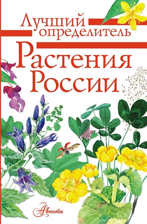 АСТ Дмитриева Т.Н., Пескова И.М., Куксина Н.В. "Растения России" 420213 978-5-17-118528-2 