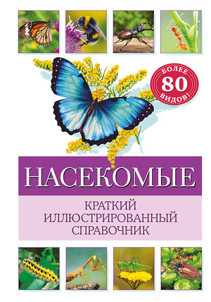 Эксмо Бэрбель Офтринг "Насекомые. Краткий иллюстрированный справочник" 427888 978-5-04-193147-6 