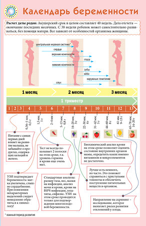 Эксмо "Календарь беременности" 440467 978-5-699-76812-7 