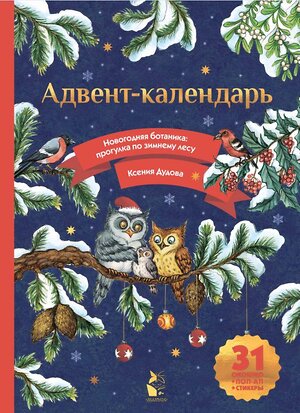 АСТ Дудова К.В. "Адвент-календарь. Новогодняя ботаника: прогулка по зимнему лесу" 458436 978-5-17-112985-9 