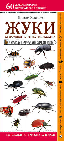 Эксмо Михаил Куценко "Жуки. Мир удивительных насекомых" 460319 978-5-04-111883-9 