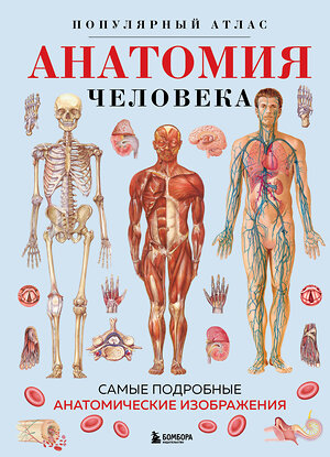 Эксмо "Анатомия человека. Популярный атлас. Самые подробные анатомические изображения" 479809 978-5-04-198035-1 