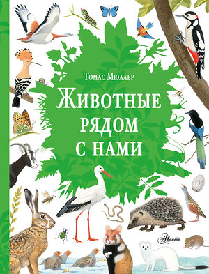 АСТ Томас Мюллер "Животные рядом с нами" 539897 978-5-17-175209-5 