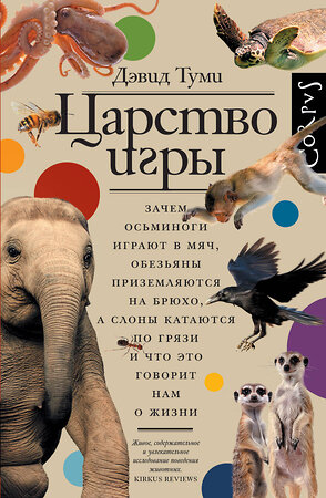 АСТ Дэвид Туми "Царство игры" 547230 978-5-17-166789-4 