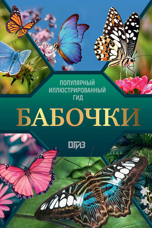 АСТ Анна Спектор "Бабочки. Иллюстрированный гид" 547304 978-5-17-173862-4 