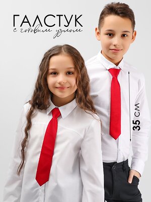 Соль&Перец Галстук 548447 SP306A красный