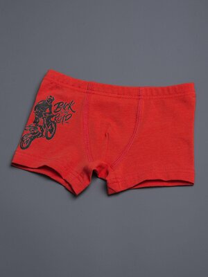 BATIK Трусы 551053 026_НБЛ25 Терракотовый
