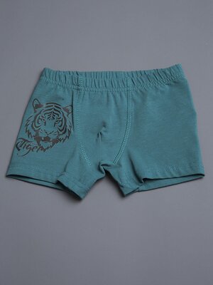 BATIK Трусы 551058 034_НБЛ25 Темный хаки