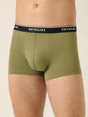 DiWaRi Трусы 556967 PREMIUM MSH 1568 (бандероль) khaki-black strip