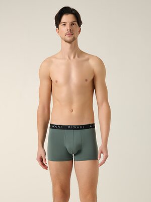 DiWaRi Трусы 556969 PREMIUM MSH 1568 (бандероль) stormy green-silver black