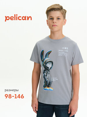 PELICAN Футболка 558284 BFT3377 Серый