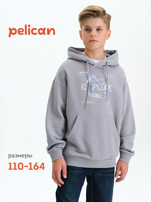 PELICAN Толстовка 558286 BFNK3377/2 Серый