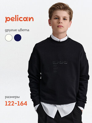 PELICAN Толстовка 558288 BFN7040U Черный