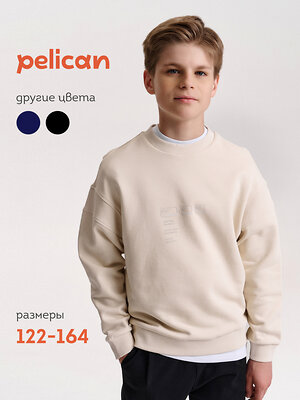 PELICAN Толстовка 558289 BFN7040U Молочный