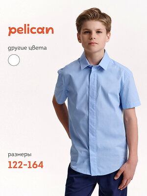 PELICAN Сорочка 558291 BWCT7119 Голубой