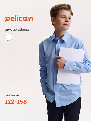 PELICAN Сорочка 558294 BWCJ7119 Голубой