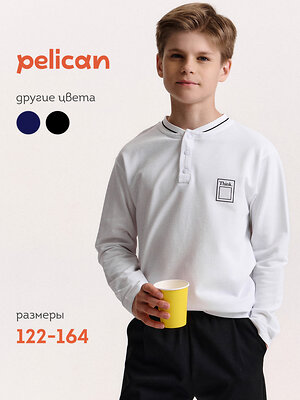 PELICAN Джемпер 558303 BFJH7019/1U Белый
