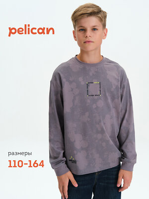 PELICAN Джемпер 558572 BFJ3377 Серый