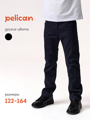 PELICAN Брюки 558576 BWP7124 Темно-синий