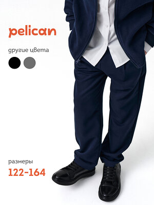 PELICAN Брюки 558579 BWP7123 Темно-синий