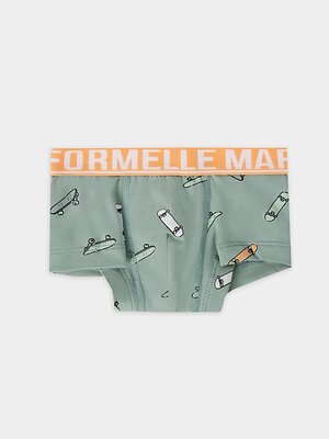 MARK FORMELLE Трусы 559082 413354 скейты на зеленом