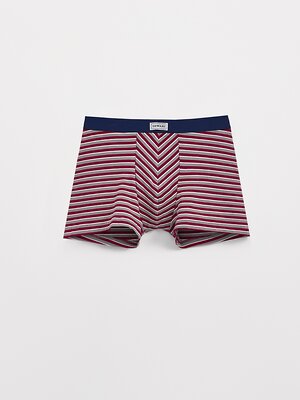 DiWaRi Трусы 565919 BASIC MSH 2956 (пакет) bordo-grey strip