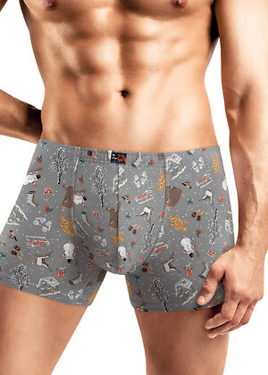 CLEVER Трусы 567681 MSH451331 серый/белый