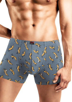 CLEVER Трусы 569496 MSH451811 серый/т.жёлтый