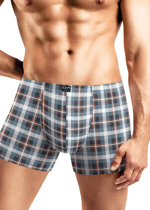 CLEVER Трусы 569506 MSH451931 т.синий/белый