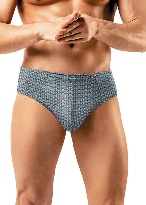 CLEVER Трусы 570988 MC451711 св.зелёный/серый