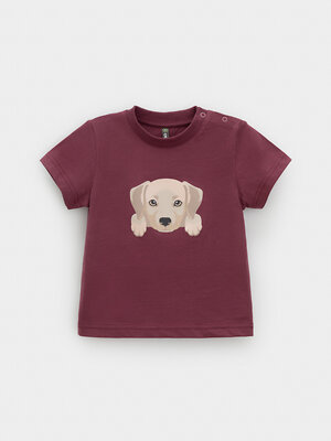 CROCKID Футболка 571746 КР 302907 коричневый