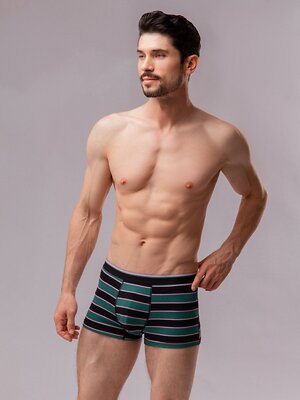 INDEFINI Трусы 572565 1174MUF Зеленый