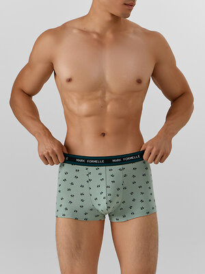 MARK FORMELLE Трусы 574104 411124 топоры на зеленом льду