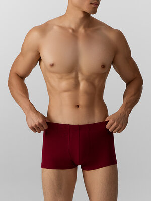 MARK FORMELLE Трусы 574295 411229 т.вишневый